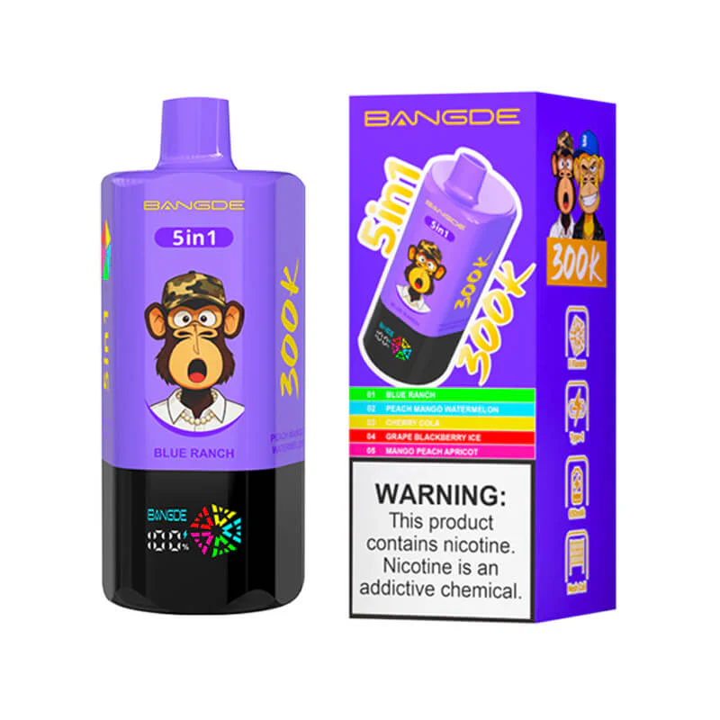 Bang DE 300000 Puffs 5in1 Disposable Vape - Image 3